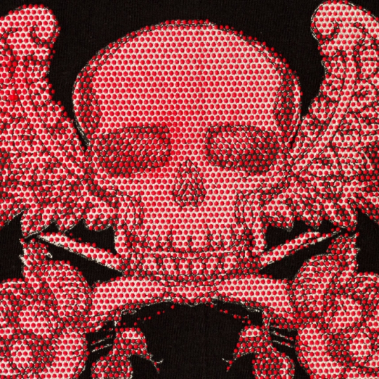 In màu Dạ Quang lên Vải